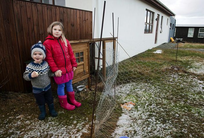 Systkinin Pétur Hrafn, tveggja ára og Ásdís Ósk, sex ára misstu landnámshænurnar sínar um síðustu helgi og bíða nú eftir því að borgaryfirvöld ákveði hvort fjölskyldan fái að halda hænur á lóð sinni.