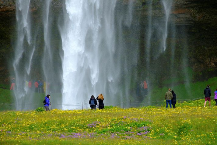 Ferðamenn gætu farið að tínast til landsins næsu mánuði.