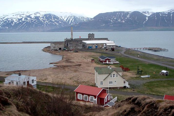 Hjalteyri