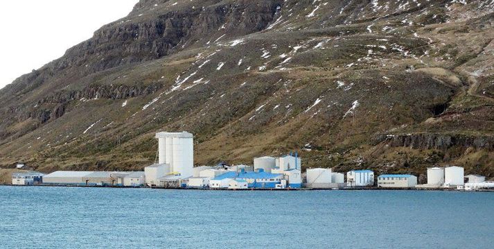 Þótt að fiskimjölsverksmiðja Síldarvinnslunnar á Seyðisfirði sé sú næststærsta á landinu þá hefur hún verið afar illa nýtt seinustu ár, nefna greinendur IFS. 
