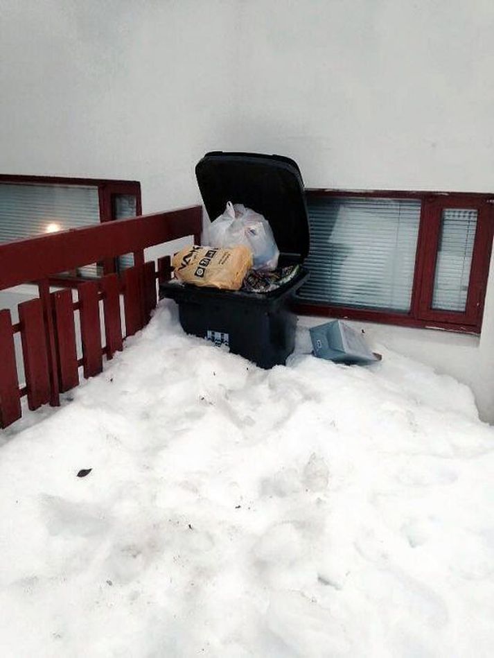 Aðgengið að yfirfullum tunnum var stundum ekki upp á marga fiska.