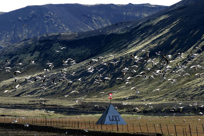 Frá flugbrautinni á Sandskeiði.