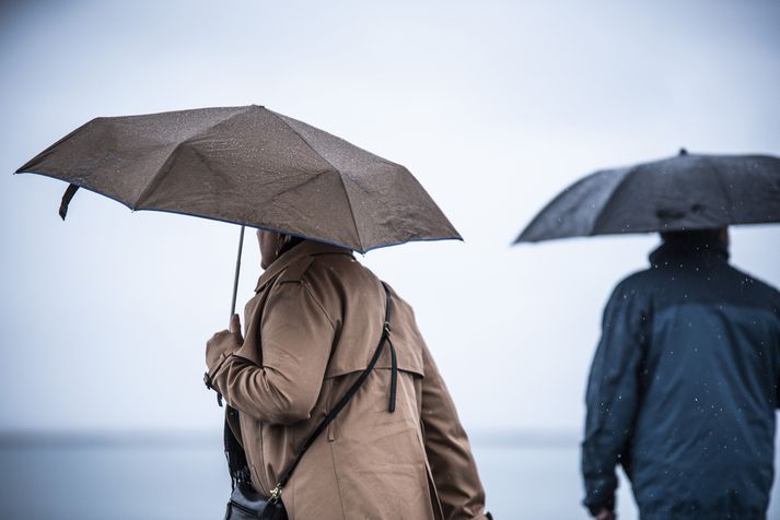 Júnímánuður var frekar daufur að mati veðurfræðinga.