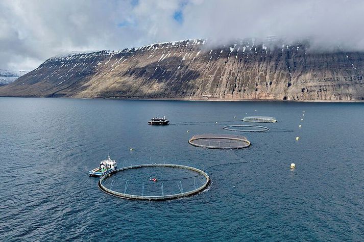 Sjókvíar í Ísafjarðardjúpi.
