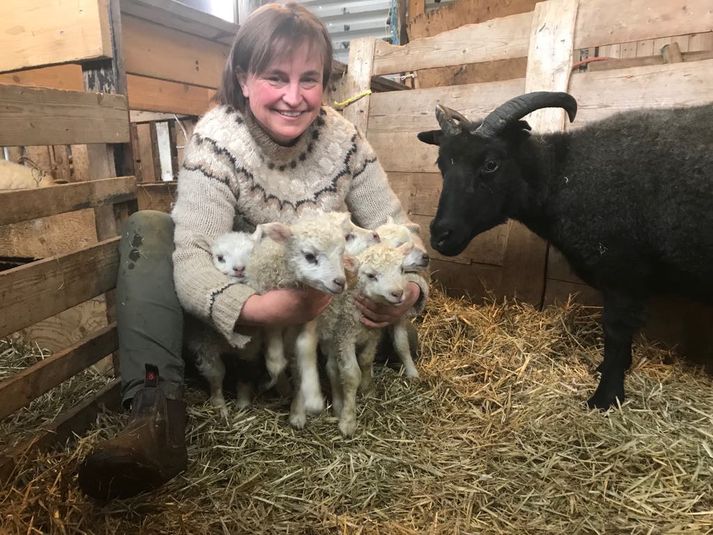 Kristín ásamt lömbunum fimm og Þernu.