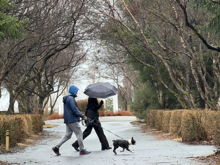 Hiti verður á bilinu þrjú til tíu stig í dag.