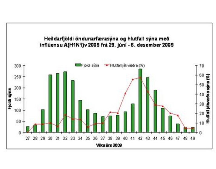 Heildarfjöldi öndunarfærasýna og hlutfall sýna með svínaflensu frá júnílokum til 6. desember sl. Mynd/Landlaeknir.is