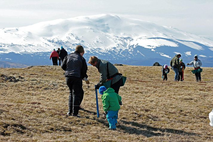 Þegar stefna flokkanna er borin saman kemur í ljós að þar er víða sami tónn sleginn. Þó ber nokkuð á milli hvað áherslur varðar.