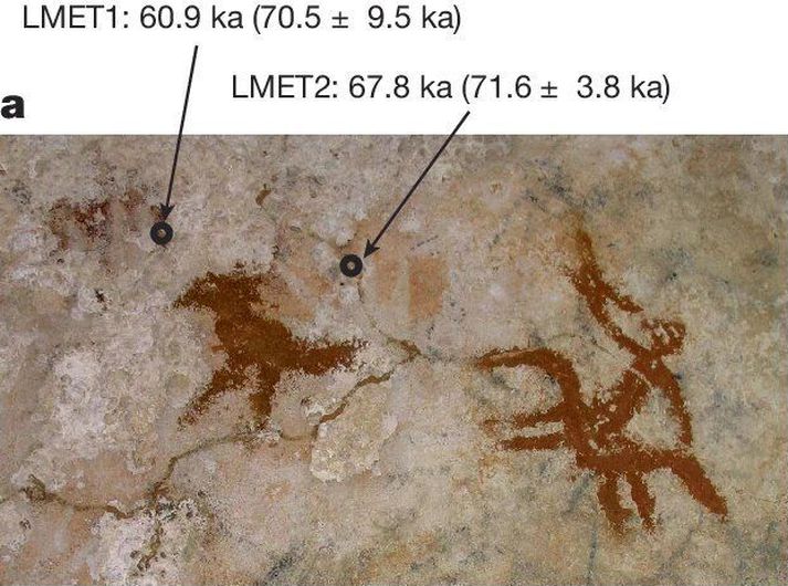 Listaverkið í allri sinni dýr. Myndirnar sem eru sýnilegri urðu til þess að vísindamenn urðu ekki þeirrar eldri varir.