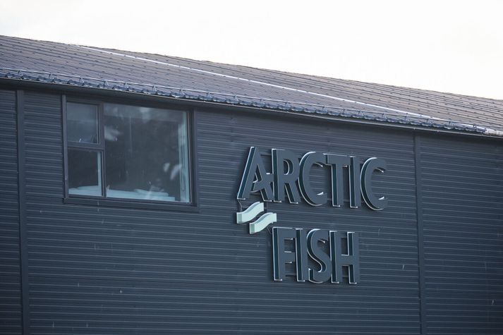 Arctic Fish lítur það alvarlegum augum að laxar hafi sloppið úr sjókví fyrirtækisins í Dýrafirði.