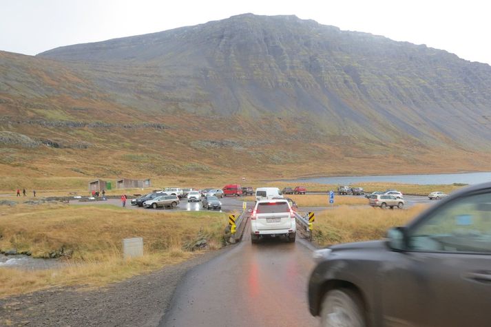 Bílarnir streymdu á bílastæðið við Dynjanda í gær. Margir voru að sjá fossinn í fyrsta sinn á þessum árstíma.
