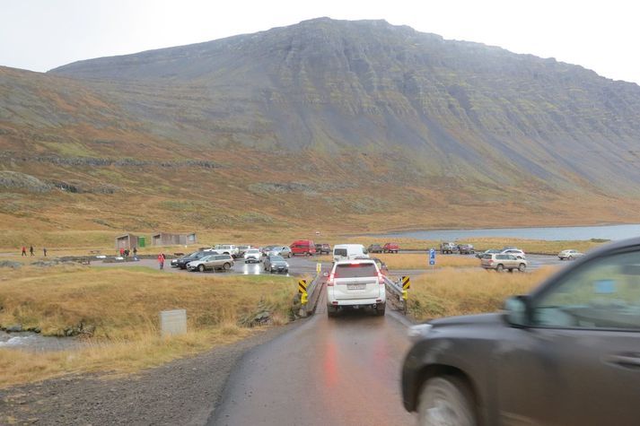 Bílarnir streymdu á bílastæðið við Dynjanda í gær. Margir voru að sjá fossinn í fyrsta sinn á þessum árstíma.