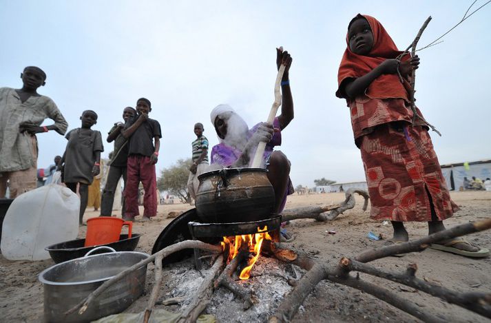 Þúsundir Nígeríumanna hafa neyðst til að flýja heimili sín vegna árása liðsmanna Boko Haram.