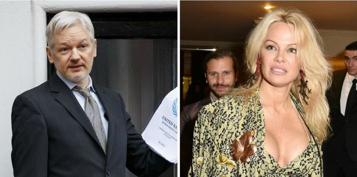 Julian Assange og Pamela Anderson koma úr ólíkum áttum, en það stöðvar ekki ástina.