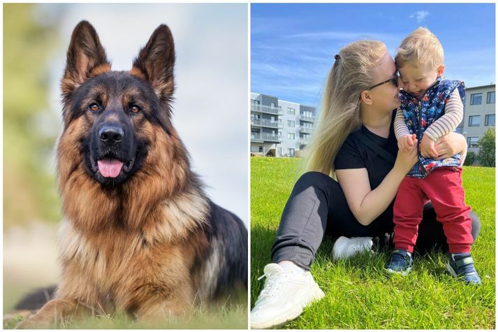 Aleksandra segir atvikið hafa verið þeim mæðginum mikið áfall. 
