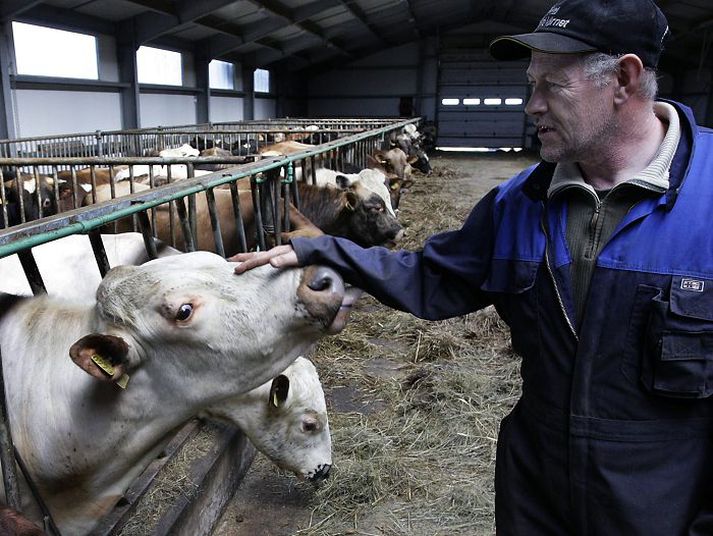 Landssamband kúabænda fagnar frumvarpi landbúnaðarráðherra. 