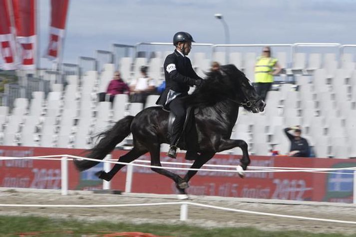 Stjarna á landsmóti hestamanna, Fláki frá Blesastöðum 1A. Mynd/ Gígja Dögg Einarsdóttir