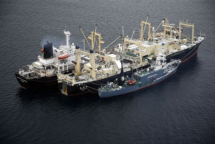 Nisshin Maru. Bilaða hvalveiðiskipið er bundið við tvö önnur japönsk hvalveiðiskip og verður hugsanlega dregið til hafnar.