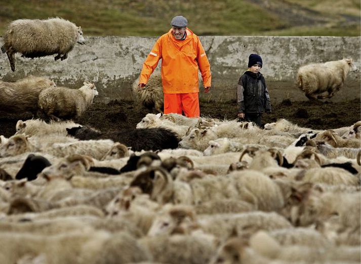 Óvænt hækkun á lambakjöti er ástæða þess að verðbólga var hærri í október en greinendur reiknuð með. Lambakjöt hækkaði um 16 prósent í í mánuðinum sem leiddi til 0,09 prósenta hærri verðbólgu.