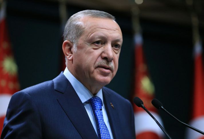 Talsmaður Erdogan Tyrklandsforseta segir að ætlunin sé að taka enn fleiri grunaða stjórnarandstæðinga höndum erlendis.