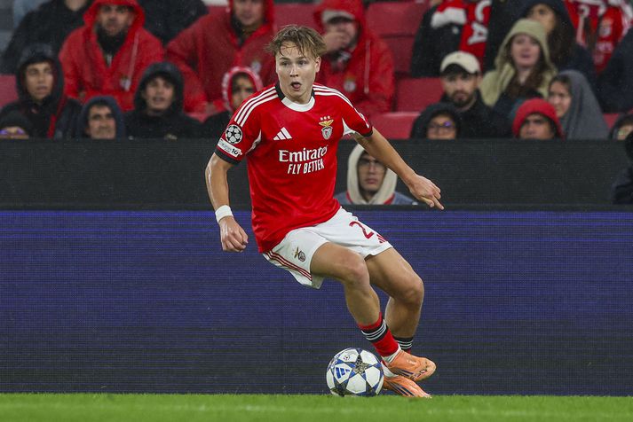 Andreas Schjelderup í leik með Benfica í Meistaradeildinni.
