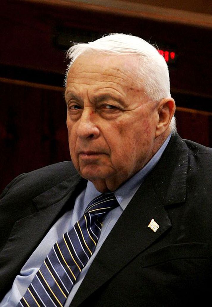 Greinileg heilastarfsemi er hjá Ariel Sharon eftir sjö ár í dái. nordicphotos/AFP