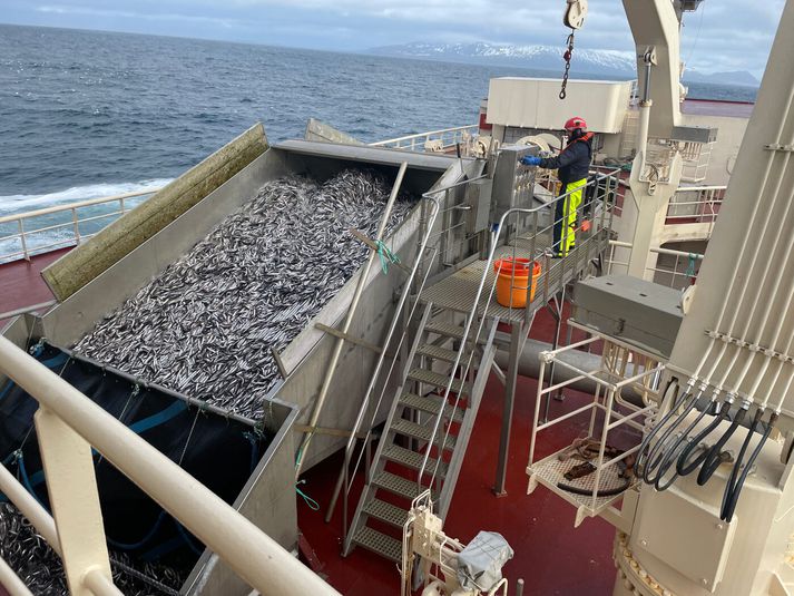 Loðnuveiðar með Beiti NK. Myndin er úr safni. 