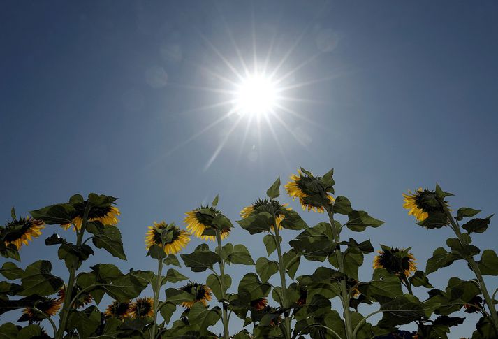 Hitinn fer að líkindum vel yfir 40°C víða um Spán og Portúgal á næstu dögum.