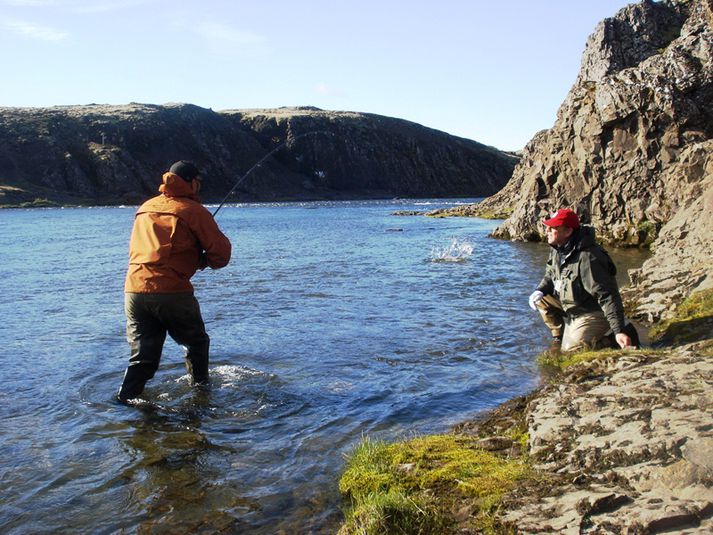 Árni Friðleifsson, varaformaður SVFR, þreytir lax í Norðurá í morgun.