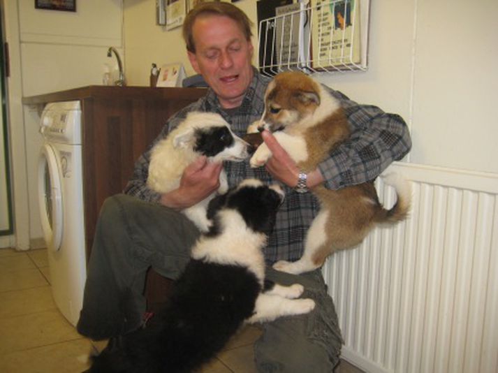 Tekið hef ég hvolpa tvo... Hreiðar Karlsson eigandi Hundahótelsins með tvo hvolpanna.