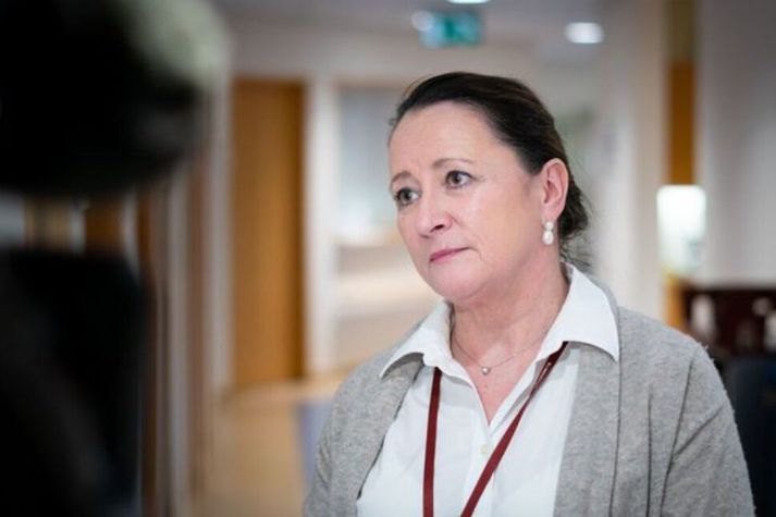Yfir­læknir um Hantaveiru: „Grafalvarlegt mál þegar svona veirur fara á milli manna“