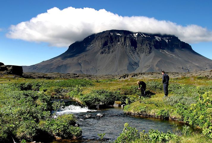 Herðubreið.