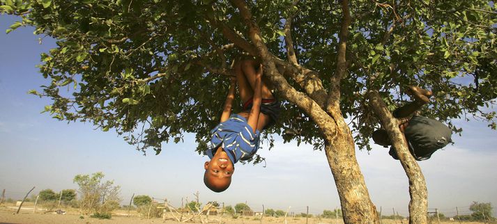Búskmenn í Botsvana segjast hafa verið hraktir frá heimkynnum sínum í Kalahari-eyðimörkinni til þess að stjórnvöld geti haft þar óheftan aðgang fyrir demantavinnslu og annan námugröft.