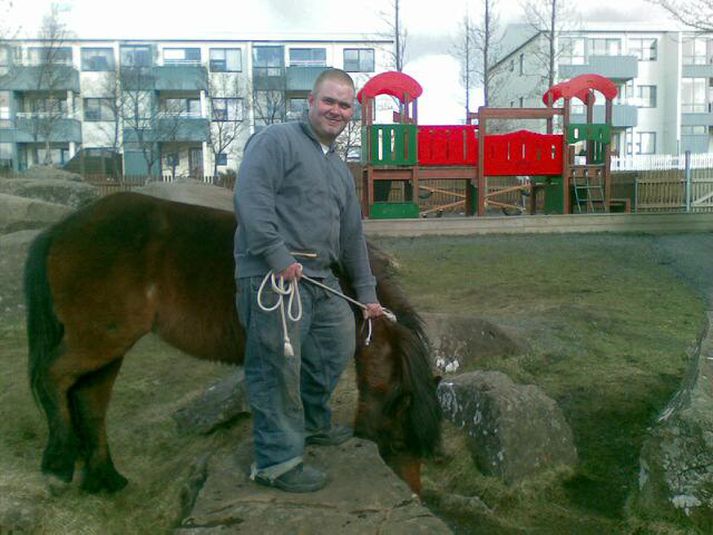 Búið er að koma böndum á hestinn.