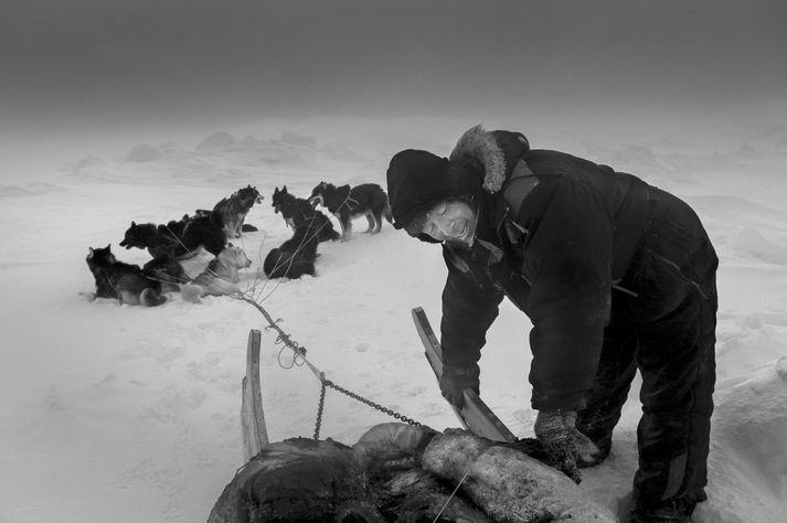 Hjelmer Hammeken er einn besti veiðimaður Grænlands og góður vinur ljósmyndarans RAX. Þeir lentu í erfiðum aðstæðum saman á hafísnum við Scoresbysund.