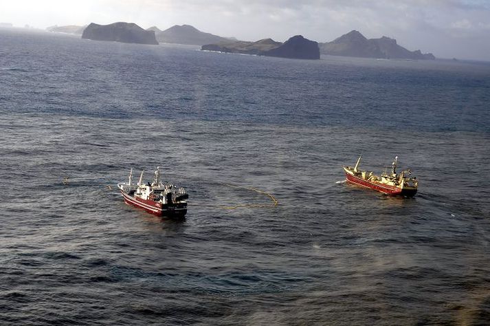 Skipstjórinn á Álsey taldi alls ellefu loðnuskip á veiðum í grennd við Vestmannaeyjar í gærkvöld. 
