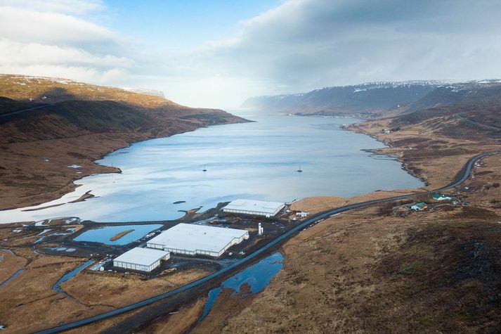 Seiðaeldisstöð Arctic Smolt í Norður-Botni í Tálknafirði.