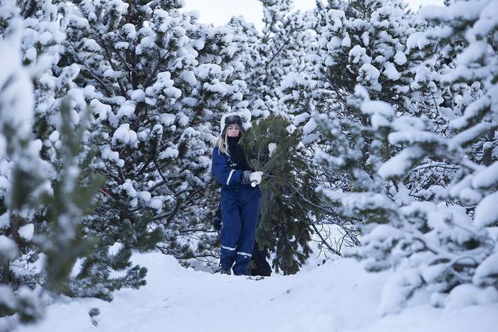 Það verður væntanlega jólalegt í Heiðmörk fyrir jólin núna eins og áður.