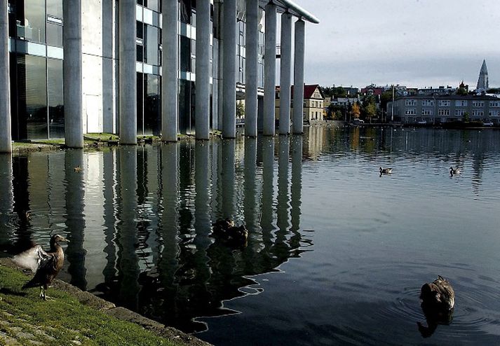 Fundarefnið eru málefni ungs fólks og ræddar verða tillögur frá ungmennaráðum í Reykjavík sem fulltrúar Reykjavíkurráðsins munu flytja á fundinum.
