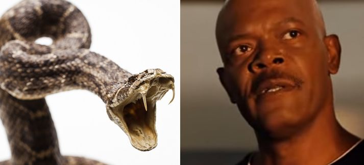 Samuel L. Jackson átti ekki bókað far með vélinni svo vitað sé.