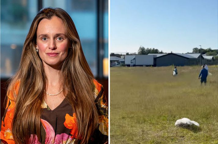 Hildur Björnsdóttir segir sérkennilegt að borgin hafi ekki ætlað að slá túnið við Sóleyjarima fyrr en í lok sumars.