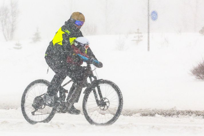 Snjókoma eða él fylgir veðrinu, og mun bæta talsvert í ofankomu með kvöldinu.
