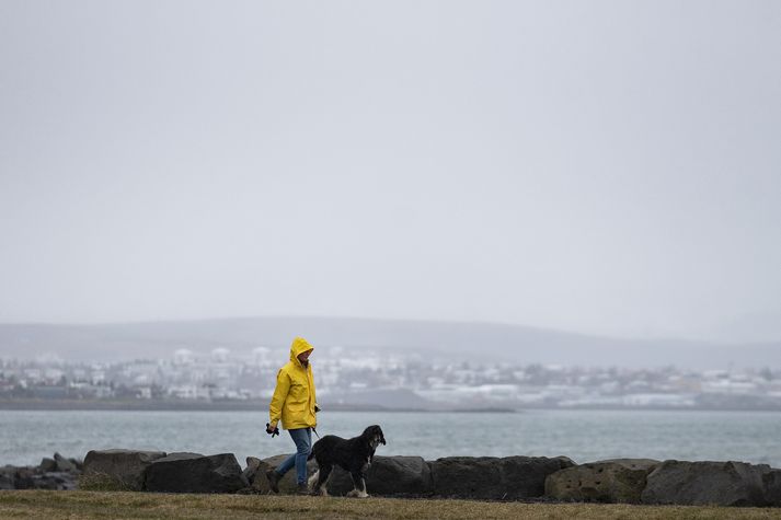 Í dag er spáð vestlægri átt, golu eða kalda, en hæg breytileg átt og síðar hafgola austan til á landinu.