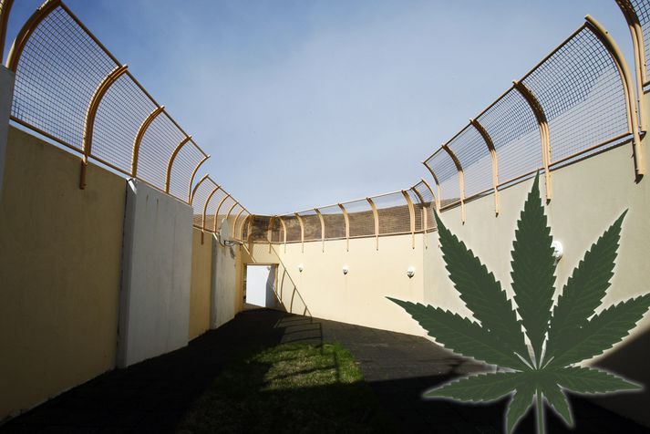 Tvær franskar konur, fangar á Sogni, voru gripnar við kannabisneyslu en vegna plássleysis er ekki hægt að hegna þeim fyrir brotið.