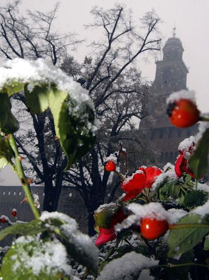 Vetrarhörkur hafa eyðilagt uppskeru í Ítalíu síðustu dagana. Þessi mynd var tekin í Mílanó í gær.