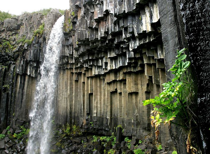 Svartifoss í Skaftafelli er ein fjölmargra náttúruperlna í Vatnajökulsþjóðgarði.
