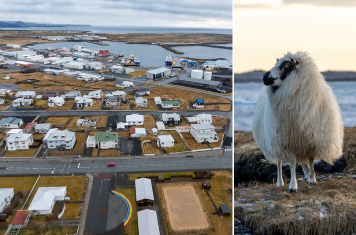 Ábending barst til Matvælastofnunar um aðbúnað sauðfjár bóndans í maí 2024. Var bent á girðingar hafi verið í ólagi og kindurnar hafi verið komnar inn á aðra jörð sem almannavarnir höfðu bannað fólki að fara inn á vegna stórrar sprungu. 