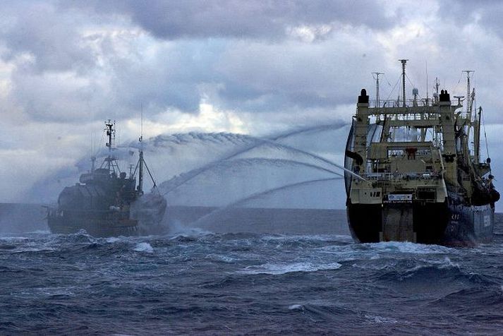 Ágreiningur varð á ársfundinum um veiðar Japana á stóru griðasvæði í Suðurhöfum, sem andstæðingar hvalveiða hafa lengi barist gegn. Á myndinni er skipst á sendingum milli skips Sea Shepherd-samtakanna og japansks hvalveiðiskips.norciphotos/AFP