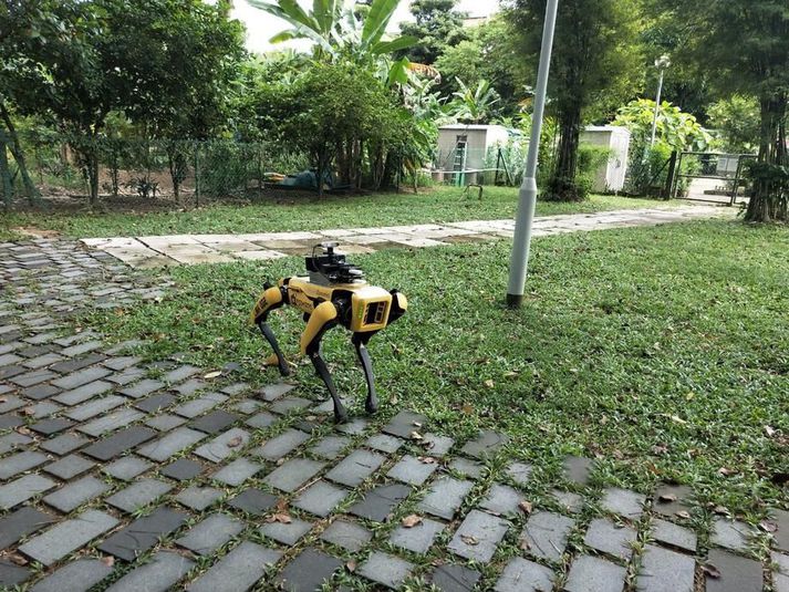 Vélhundurinn Depill að störfum í Singapúr.