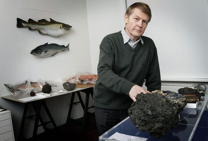 Helgi Torfason safnstjóri kallaði eftir úttekt Ríkisendurskoðunar þar sem stefnumótunarvinna hans hefur ekki fengið hljómgrunn í ráðuneytinu. 
fréttablaðið/gva
